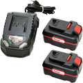 Ensemble de 2 batteries 4 Ah et chargeur Parkside X20 V