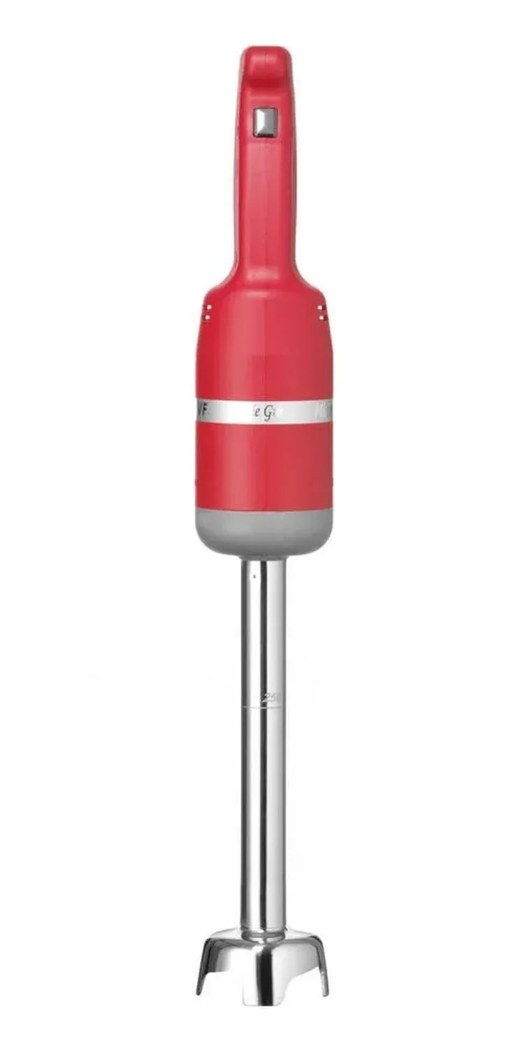 HENDI Mixeur Plongeant Professionnel 250W, Capacité 20L, Pied 25cm, Inox